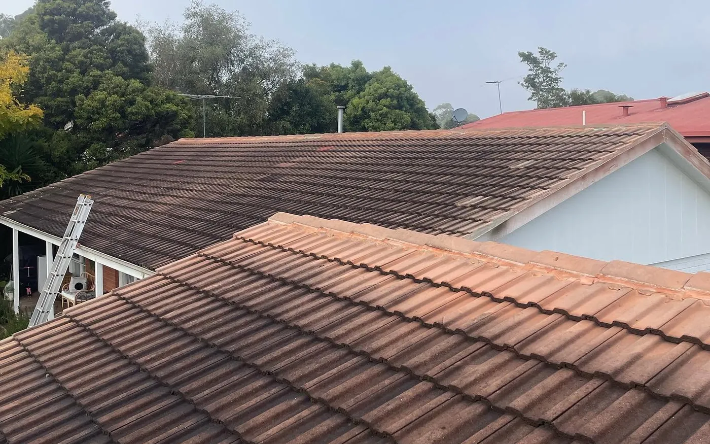 Dull brown concrete tile roof with lichen before restoration